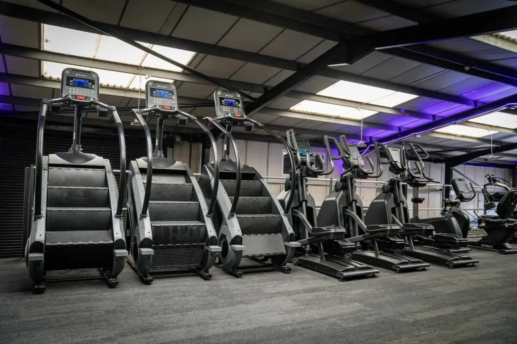 Steppers cardio gym for weight loss